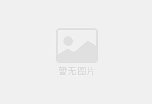 甜菊糖TSG90RA55